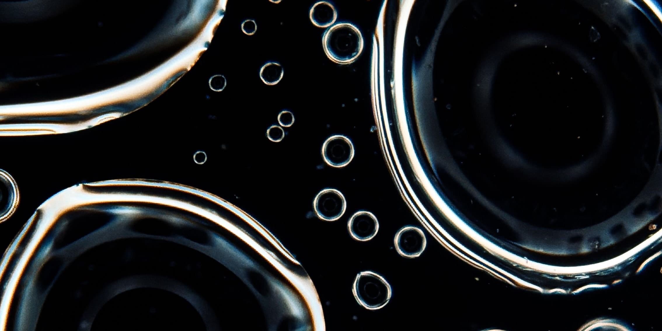 Oil drops floating on water, macro